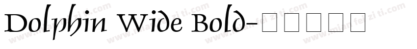 Dolphin Wide Bold字体转换